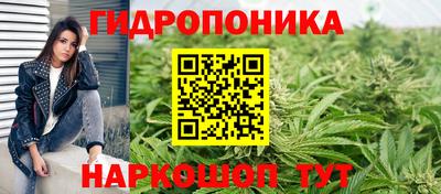 шишки Будённовск