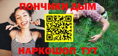 шишки Будённовск
