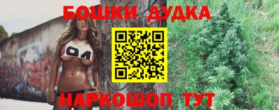 шишки Будённовск